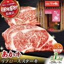 【ふるさと納税】【3回定期便】【数量限定】リブロースステーキ 1kg(250g×4枚)【有限会社スイートサプライなかぞの 】[ZBV026]