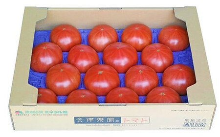15-L　フローライシダ　会津薬師トマト　4kg×2箱（14・16・18・20ケ入　玉数お任せ） ※2026年6月～発送