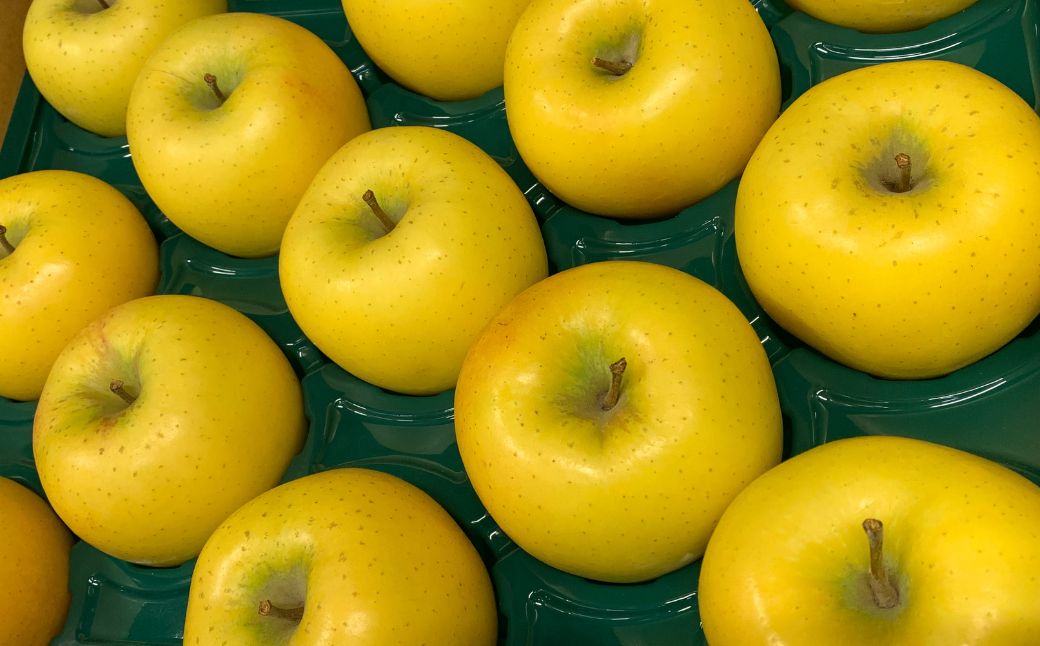 ＜11月下旬頃よりお届け＞北海道壮瞥産りんご シナノゴールド 約5kgシナノゴールド　約(13～18玉)【贈答用】 SBTK018