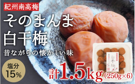 そのまんま白干梅 A級品 計1.5kg（250g×6個） / 梅干し 梅干 梅 和歌山 和歌山県産 田辺市 紀州南高梅 南高梅 白干し梅 無添加 しょっぱい梅干し 昔ながらの梅干し なつかしい A級