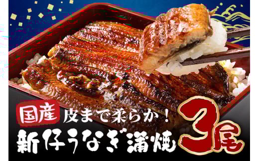 国産 とても大きな 新仔うなぎ蒲焼 3尾 計660～750g (220～250g×3尾) 肉厚ジューシー ふっくら柔らか ブランド鰻使用 秘伝のタレ・山椒付き 湯煎で簡単調理 うな丼 うな重 贈答用 ギフト 冷蔵配送 茨城県 潮来市 (A23-005)