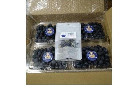 【先行予約 2026年6月下旬以降発送】琴浦町産生ブルーベリー１kg（250g×4パック）|ブルーベリー