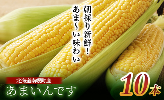 令和8年発送 北海道産 とうもろこし あまいんです10本 朝採れ 一番果 生食 産地直送 数量限定 期間限定