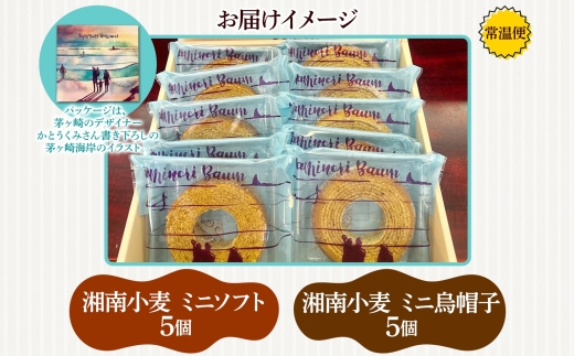 ミニサイズ バウムクーヘン なみのりバウム 10個セット 食べきりサイズ まんまるソフト デコボコ烏帽子 湘南小麦 しっとり ふんわり お菓子 洋菓子 スイーツ 詰め合わせ ギフト 神奈川県 茅ヶ崎市