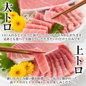 【定期便6回（毎月）】南マグロ大トロ、中トロ、赤身を半年間毎月お届け。1回分の内容量は南マグロの合計８本（１本あたり、200～230g） (大トロ×１、上トロ×２、中トロ×２、赤身×３)。幻のマグロと