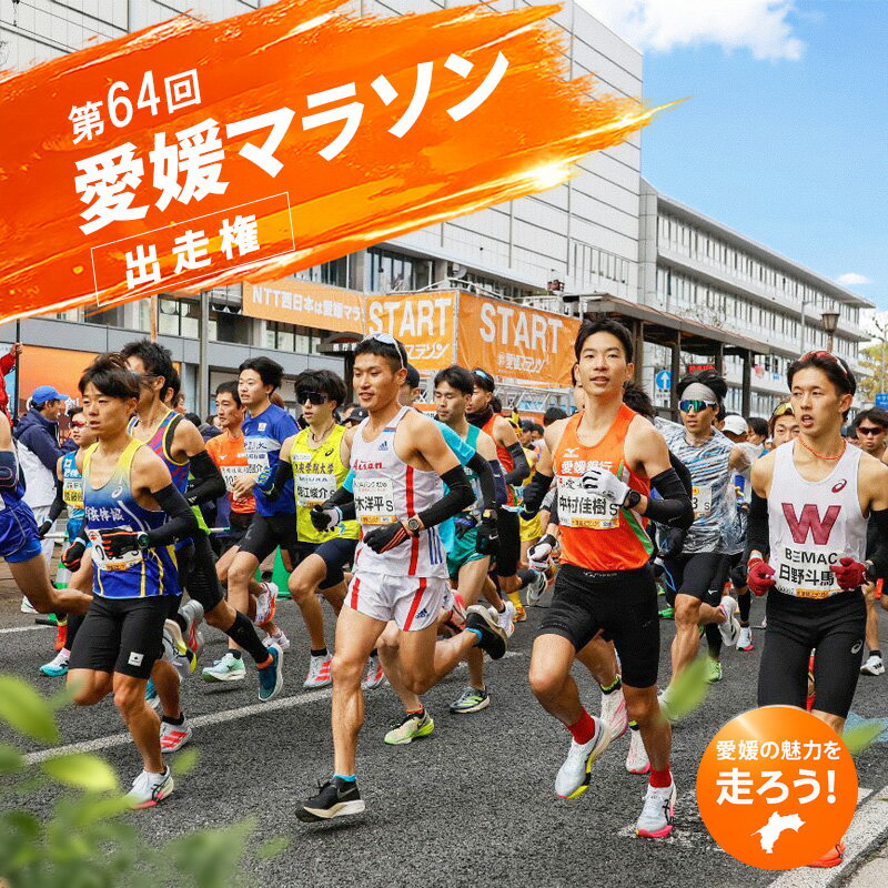 【ふるさと納税】 第64回愛媛マラソン出走権 1名様分｜マラソン 愛媛マラソン マラソン大会 マラソン出走権 フルマラソン 愛媛県 松山市