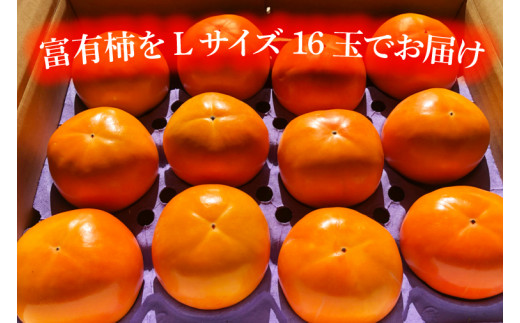 【2026年10月下旬より順次発送】【数量限定】富有柿 L 16玉【茨城県共通返礼品/石岡市】【水戸市 茨城県 カキ 柿 フルーツ 果物 くだもの 富有柿 ジューシー 甘い】（IU-9）