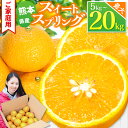 【ふるさと納税】 『 かめまる食堂 』 熊本県産 ご家庭用 スイートスプリング 選べる 約 5kg 10kg 20kg 柑橘 柑橘類 甘い みかん フルーツ 訳あり 果物産地直送 生産者直送 玉名 熊本 柑橘類 送料無料