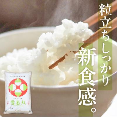 ふるさと納税 東根市 【令和7年産米】☆2026年3月前半発送☆  雪若丸 10kg hi003-148-031-2 |  | 01