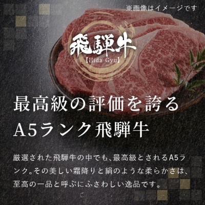 飛騨牛5等級 バラ焼肉用2kg(1kg×2P)　FTA275【配送不可地域：離島】【1578277】