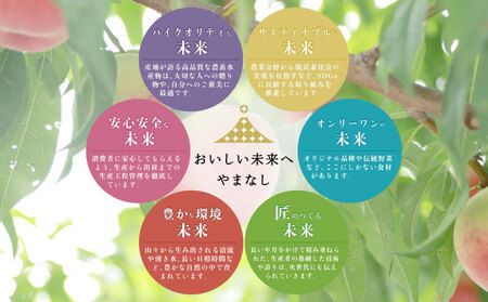 【2024年 先行予約】日本一の産地 山梨県産　朝採れ桃 約1.5kg (５～８玉）