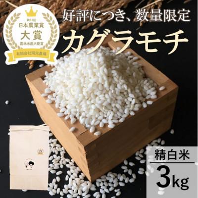 ふるさと納税 能美市 【日本農業賞大賞】もち米3kg精白米(カグラモチ)