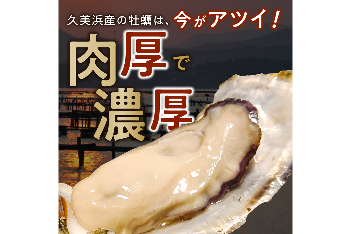 京都・久美浜産　殻付き牡蠣　3kg（30個前後）【加熱用】牡蠣ナイフ付　MN00018