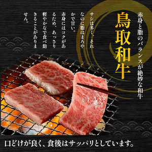 鳥取和牛 焼肉用 カルビ 500g 国産 牛肉 上カルビ 黒毛和牛