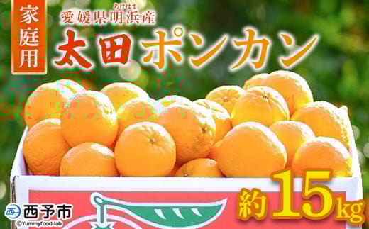 ＜太田ポンカン 家庭用 約15kg＞ 果物 くだもの フルーツ みかん ミカン 柑橘 太田ぽんかん おおたぽんかん オオタポンカン ぽんかん 訳あり ご自宅用 特産品 株式会社笑丸 愛媛県 西予市【常温】
