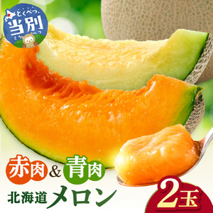 北海道産メロン 計2玉  先行予約 メロン