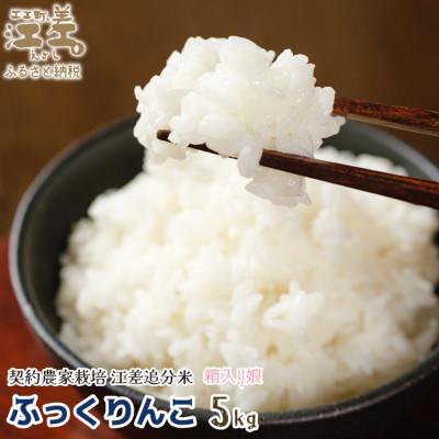 ふるさと納税 江差町 【令和7年新米先行予約】契約農家栽培 江差追分米『ふっくりんこ』【5kg】