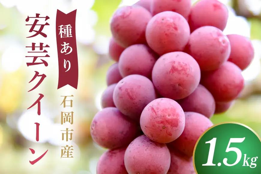 【令和8年産先行予約】安芸クイーン（種あり）1.5kg 石田ぶどう園 3房 ～ 6房 国産 ぶどう ブドウ 果物 くだもの 葡萄 フルーツ 1.5キロ 8月 9月 10月 発送 秋 旬 品種 茨城県産 産地直送 産直 農家直送 冷蔵 茨城県 石岡市 (A02-032)