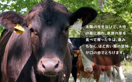 fn-77-002 釜石和山放牧牛 和の風バーグ 20個 エム牧場