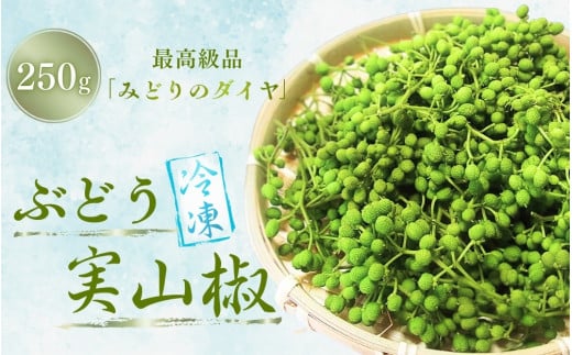  冷凍 ぶどう 生実山椒 250g / 山椒 さんしょう 香辛料 調味料 薬味 冷凍 ぶどう山椒 生山椒 和歌山県 紀美野町 生実山椒【twn020A】