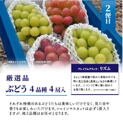 【発送月固定定期便】桃、ぶどう、梨の最上級品を旬にお届けする3回便!(岡山県産)全3回【配送不可地域：離島】
