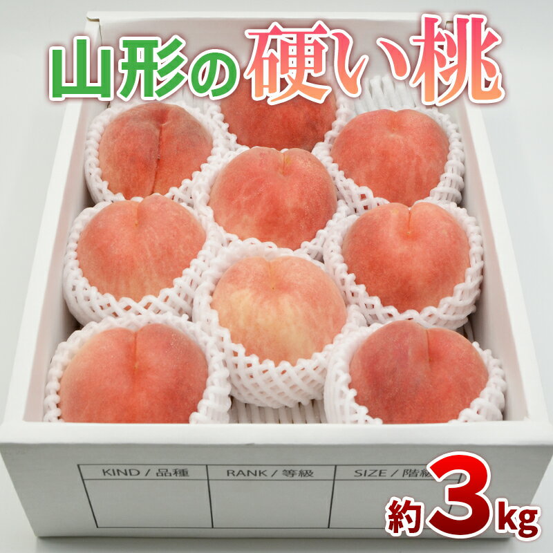 【ふるさと納税】山形の硬い桃 秀品 約3kg(5〜13玉) [固い桃] 【令和8年産先行予約】FS25-633 くだもの 果物 フルーツ 山形 山形県 山形市 お取り寄せ 2026年産