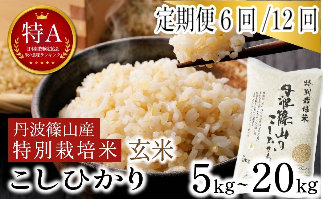 
                  【定期便6回・12回選択可】令和7年産 丹波篠山市 特Aランク こしひかり 玄米 5kg・10kg・20kg 特別栽培米 減農薬 自家製堆肥 地域限定米
                