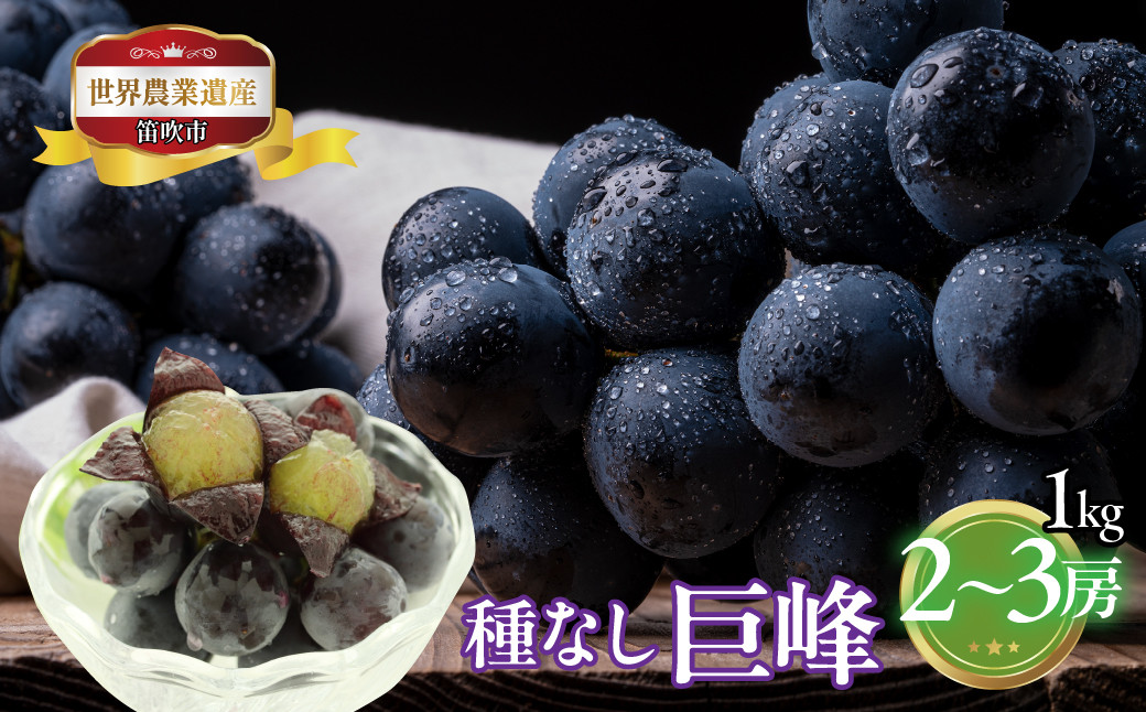 
            ＜25年発送先行予約＞山梨県笛吹市産　種なし巨峰　1kg　2～3房 223-003
          