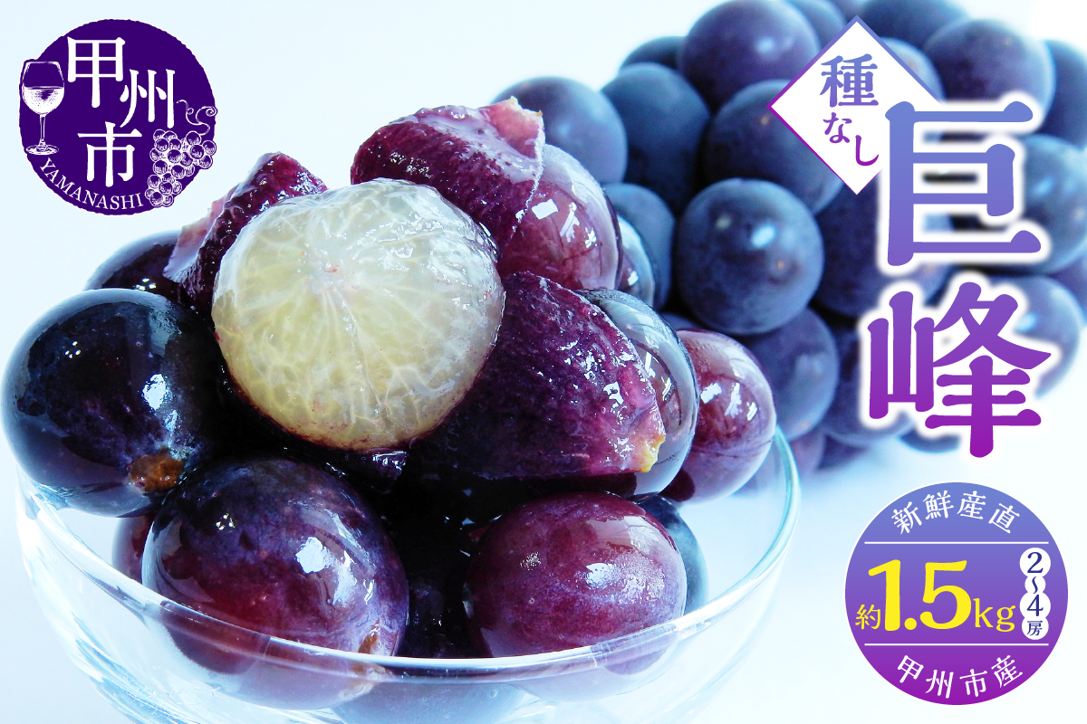 新鮮産直甲州市！種なし巨峰 約1.5kg 2～4房【2027年発送】（KSF）B12-461