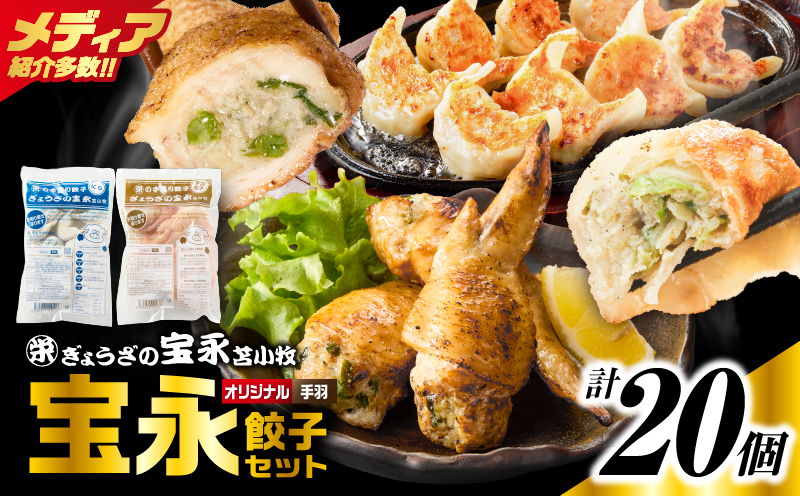 手包み餃子 ぎょうざの宝永 手羽餃子20個セット（宝永餃子15個入×1袋・手羽餃子5個入×1袋）　T004-006-01