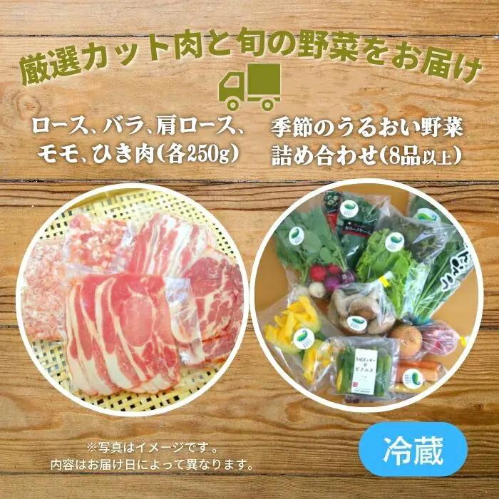 6ヶ月 定期便 四元豚 厳選カット肉 と 季節のうるおい野菜セット GIFTON ギフトン お歳暮 ギフト 豚肉 野菜 ｾｯﾄ 豚肉 焼肉 岩手県 北上市 ごえん O0038R0807 全6回 豚肉定