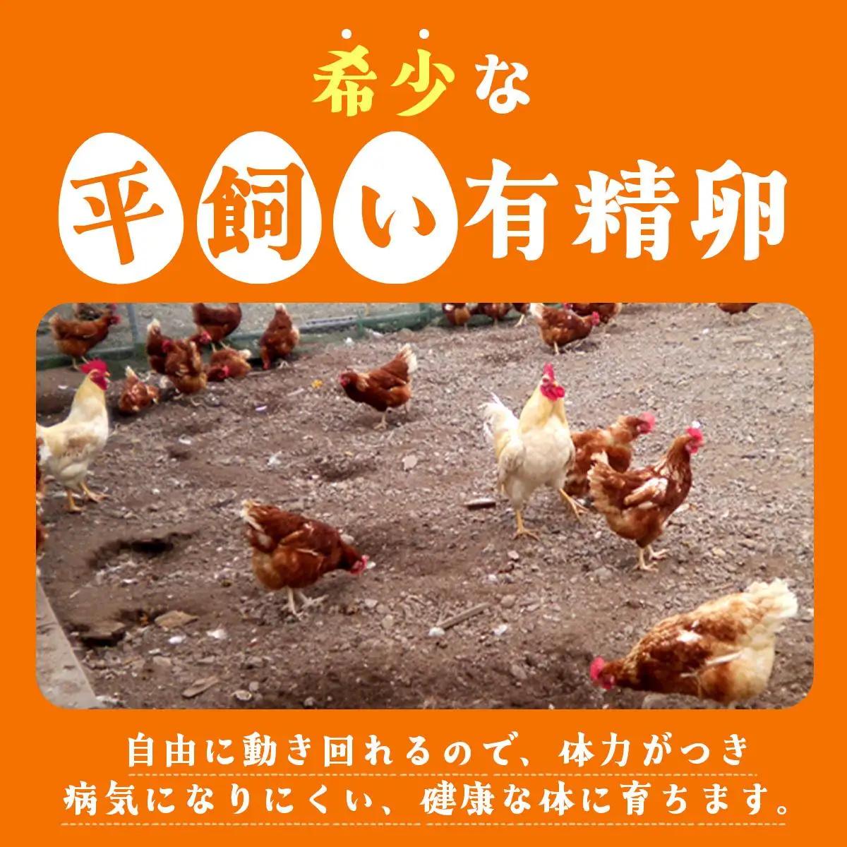[5525-0759]北海道産 6ヵ月連続お届け   たまごの心 40個 Lサイズ   太陽の園  の平飼たまご  有精卵 北海道 伊達市 たまご 卵 生たまご 鶏卵  鶏の卵 ポリスブラウン 食材 