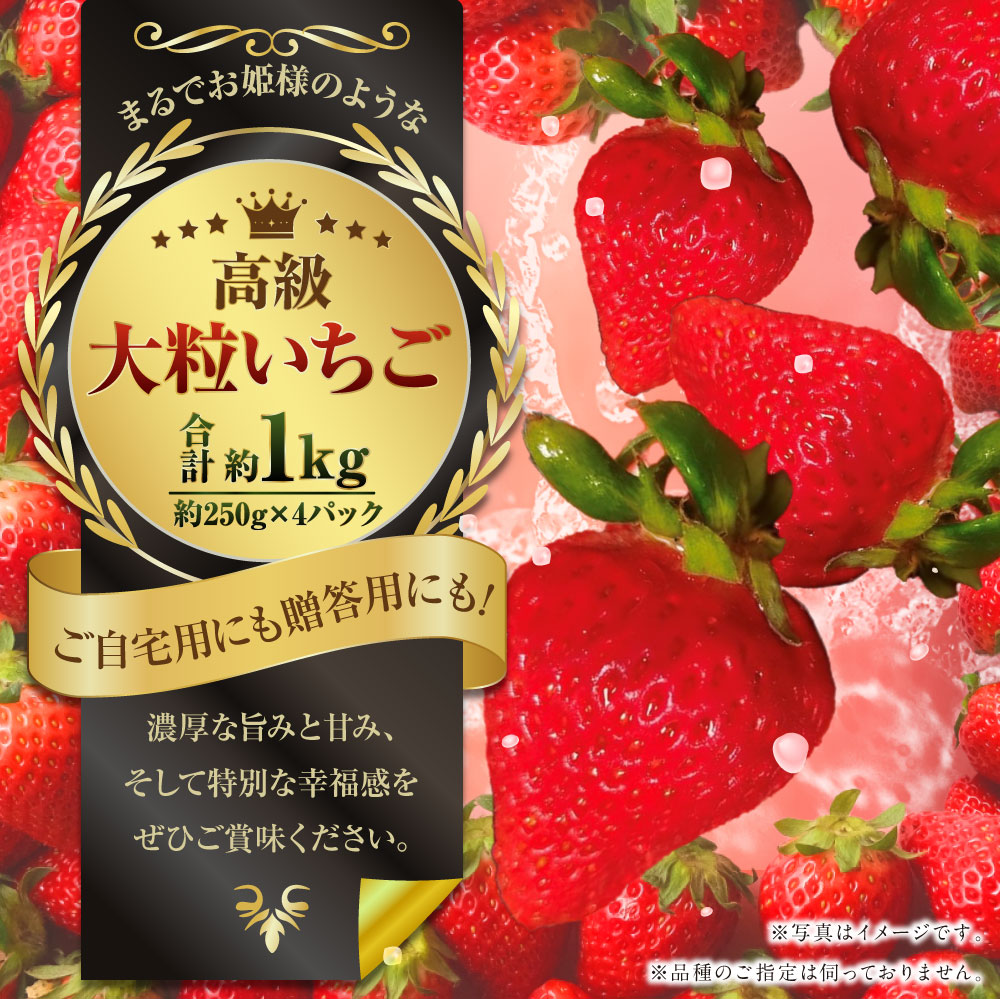 【ふるさと納税】まるでお姫様のような高級 大粒いちご 250g×4パック 約1kg ゆうべに または 恋みのり いちご イチゴ 苺 大粒 熊本県産 フルーツ 贈答 ギフト 果物 熊本産 九州 熊本県 送料無料 【2027年1月下旬発送開始】