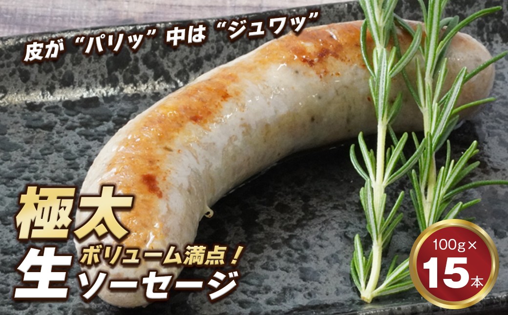 
生ポークソーセージ　100g×15本入り
