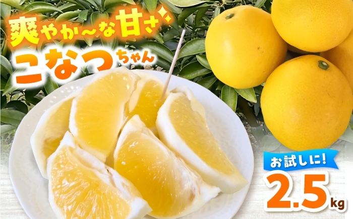 
                  「こなつちゃん」小夏 約2.5kg 小夏 こなつ 柑橘 高知 フルーツ 日向夏 お取り寄せ 高知 土佐 高知県 土佐市【土佐文旦産直協同組合】[BQAH013]
                