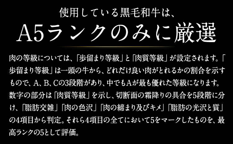 黒毛和牛ハンバーグ150g×10個 絶品 ブランド牛 黒毛和種 有限会社トップルーフ《60日以内に出荷予定(土日祝除く)》