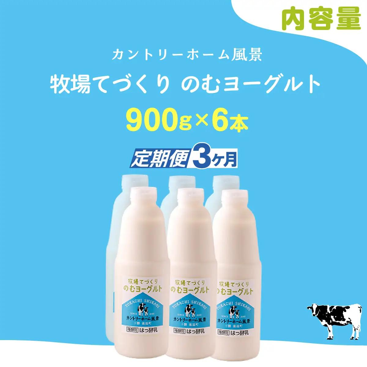 【定期3ヶ月】のむヨーグルト 900g ×6 SKB040