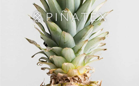 P-23-a 【PINAMORE】パイナップルからできたキーケース ホワイト