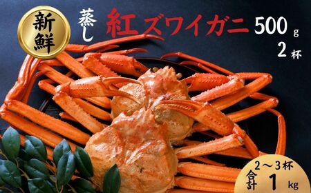 【日本海直送】紅ズワイガニ (500g)2杯 1kg 鮮度抜群！蒸しガニ ベニズワイガニ 親不知おさかなセンター【 かに カニ 紅ずわいがに】 
