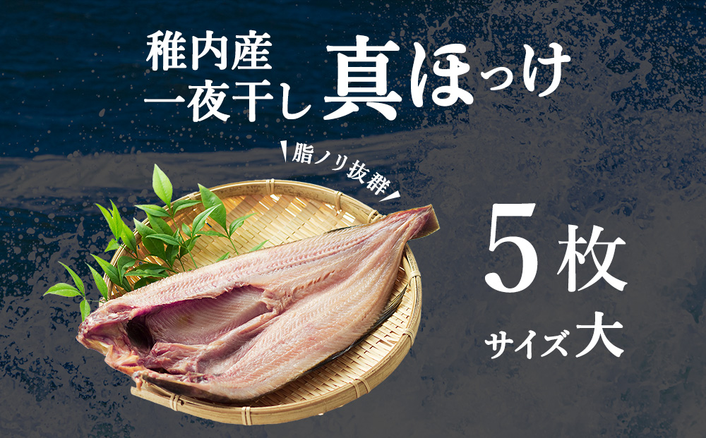 稚内産一夜干し真ほっけサイズ大5枚