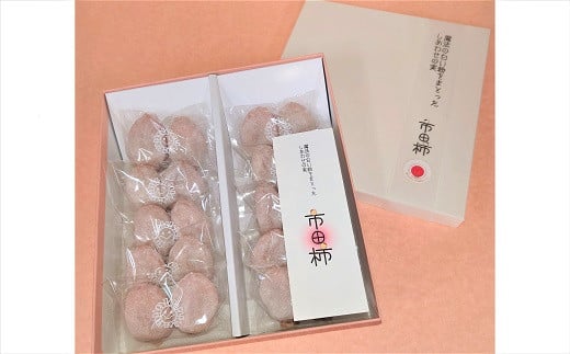 A-88【先行予約受付】【市田柿専門店　金の柿】白箱「秀品」450g(2個包装10袋入り)