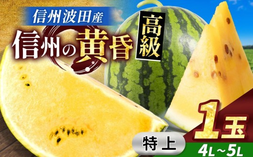 【先行受付】信州波田産 甘いスイカ！ 信州の黄昏 ( 金色羅皇 ) 【特上】 4L～5Lサイズ 1玉｜ふるさと納税 長野県 信州 松本 果物 フルーツ すいか スイカ 西瓜 大きい 特別 珍しい 黄色スイカ 贈答 季節限定 甘い くだもの ふるーつ