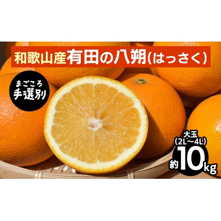 【先行予約】 有田の八朔（はっさく） 約10kg 大玉 2L～4L サイズ混合 和歌山県産