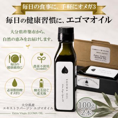 ふるさと納税 杵築市 エゴマオイル(EGOMA OIL) 100g×2本セット 低温直圧搾油法 大分県産