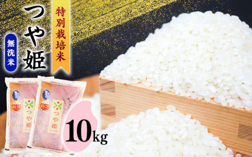 【2025年11月発送】無洗米 「つや姫」 10kg（5kg×2袋） 《特別栽培米》令和7年産 2025年産 ／ 人気 小分け 便利 節水 ブランド米 ごはん お米 ご飯 農家直送 生産者直送 山形産 山形県産 山形県 寒河江市 10キロ　034-C-SR006-202511