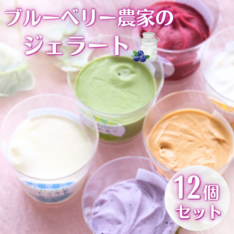 【ふるさと納税】 ブルーベリー農家 の ジェラート 12個パック（自家製ミニソース付き） / 詰め合わせ ブルーベリー 地元素材 野菜 果実 自家製素材 手作り シャーベット アイス アイスクリーム デザート スイーツ カップアイス 食べ比べ お菓子 お祝い 誕生日 プレゼント