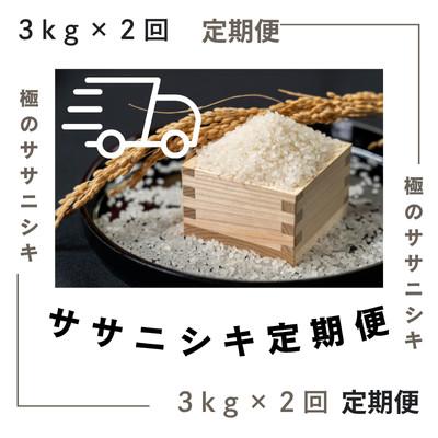 ふるさと納税 新庄市 【毎月定期便】極みのササニシキ(精米)　3kg全2回