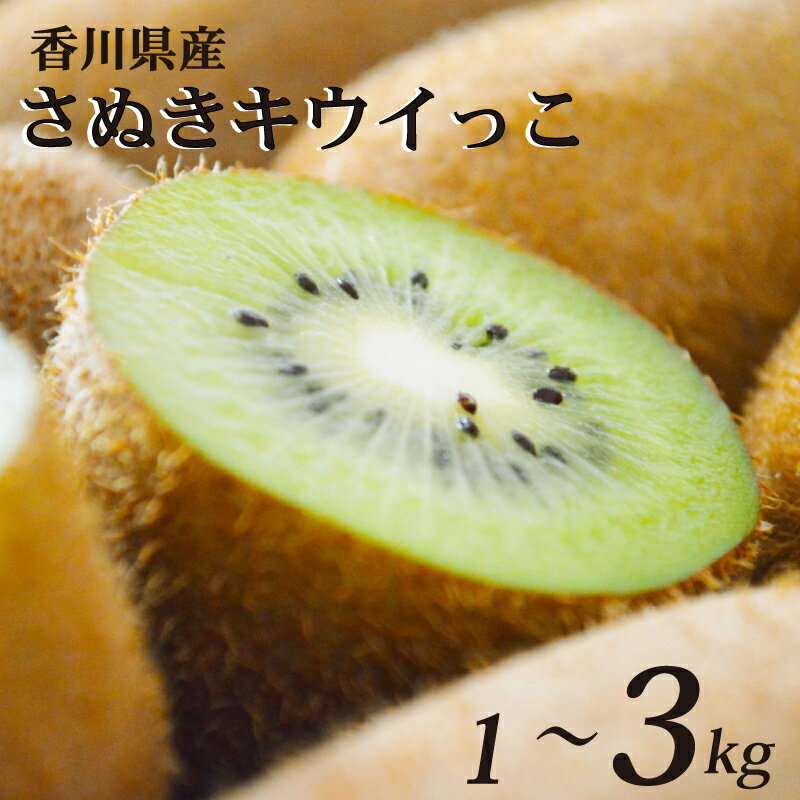 【ふるさと納税】 さぬきキウイっこ キウイ 選べる 約1kg - 約3kg 常温 先行予約 11月上旬以降発送 果物 フルーツ 香川県 丸亀市