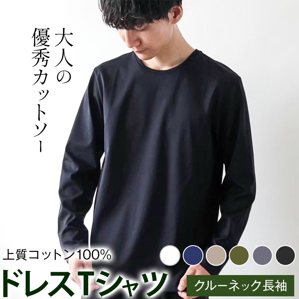 【ふるさと納税】上質コットン100%のドレスTシャツクルーネック長袖 ライフスタイルアクセント《30日以内に出荷予定(土日祝除く)》 和歌山県 紀の川市 コットン100% メンズ Tシャツ カットソー フォーマル カジュアル 送料無料