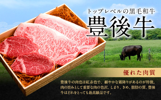 082-432 豊後牛 もも 焼肉用 500g